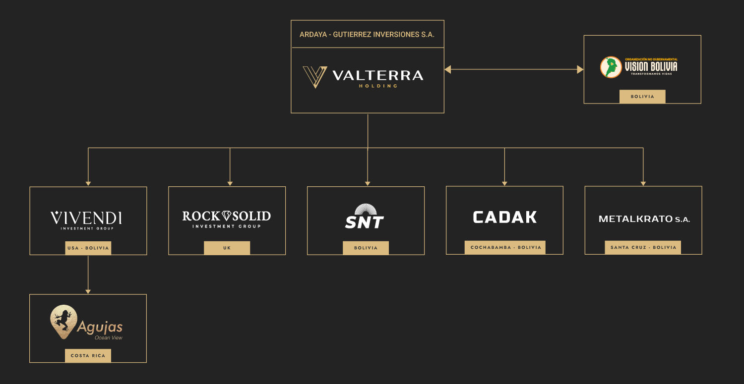 estructura-organigrama-valterra-holding